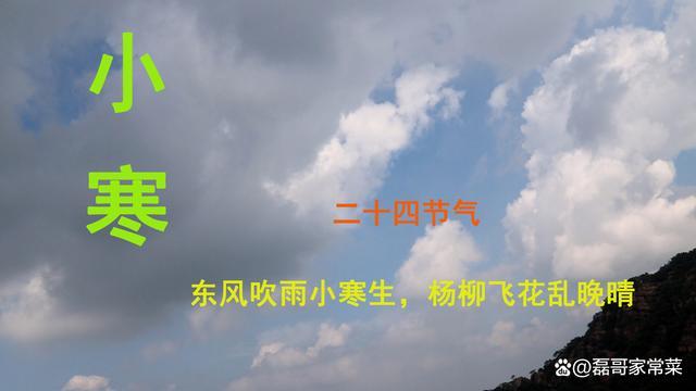 今日小寒：1不出、2不洗、吃3样