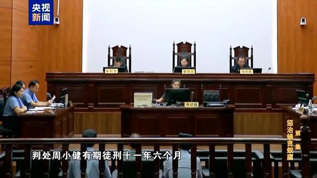 贪官把个人收款码放在缴费窗口 小官巨贪引发专项整治