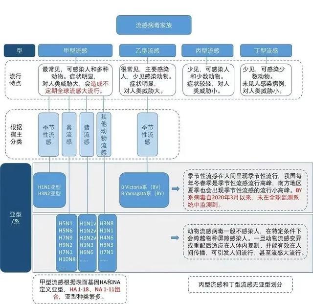 全国流感病毒阳性率快速上升 甲流为主导