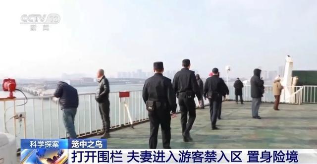 审讯画面曝光！男子为还百万债务“杀妻骗保” 真相逐渐浮出