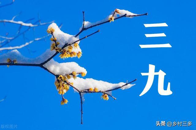 今日腊月初九“凶日”：1不吵2不练3不吃