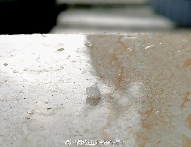 上海或迎初雪 气温骤降寒冷感拉满