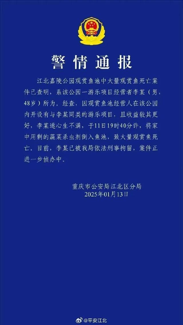 重慶觀音橋錦鯉大量死亡