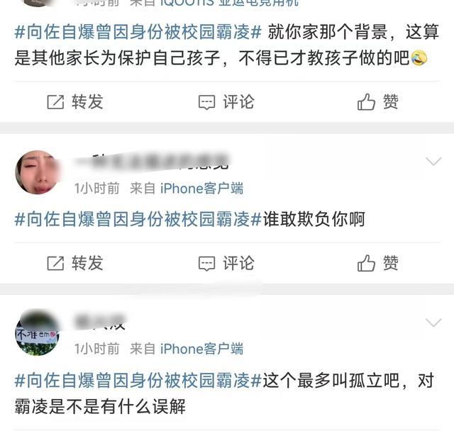 向佐自曝小學時因父母身份被霸凌 特殊身份的“霸凌”體驗