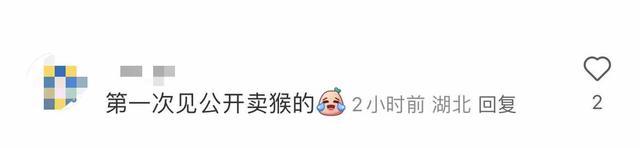 武汉一公园出售猴子 单价3000元起 引发网友热议