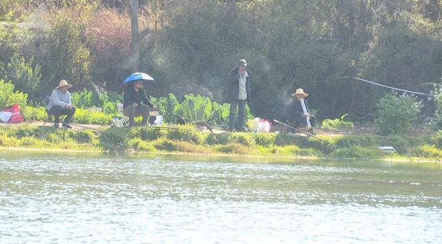 男子钓鱼倒车冲进水库 驾驶员惊险逃生