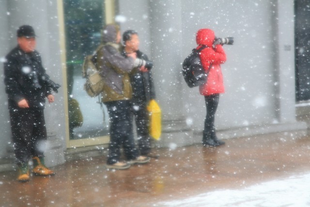 陽春三月淄博下起鵝毛大雪 春日冬景引熱議