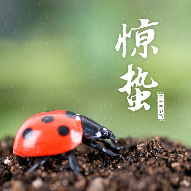  “不怕驚蟄雨一天，就怕驚蟄一天雪”