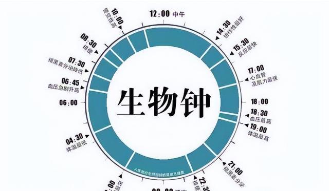 睡覺(jué)前最好不要玩手機(jī) 身體正默默“抗議”