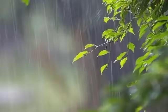 今年兩個六月,，夏天熱不熱,？二月十五能預(yù)兆 三伏天或陰雨連綿