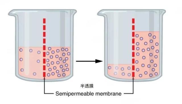 下館子后狂喝水可能不是因為味精 高鈉才是真兇