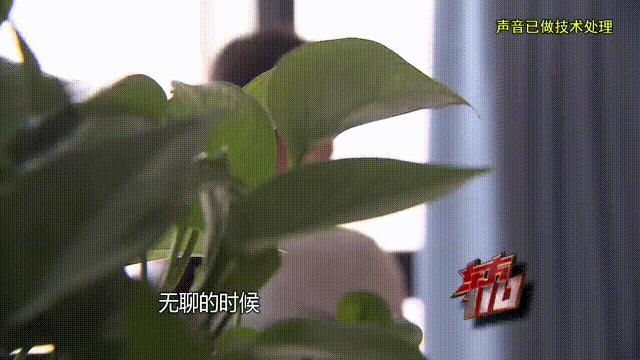 37歲女子借給游戲男友100萬 三年騙局終曝光