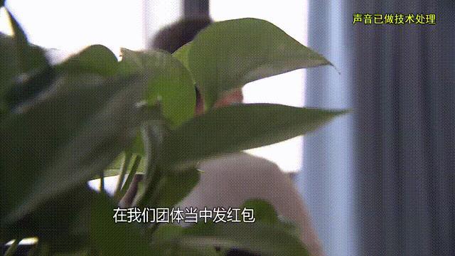 女子為游戲男友傾盡百萬靠泡面度日 三年騙局終曝光