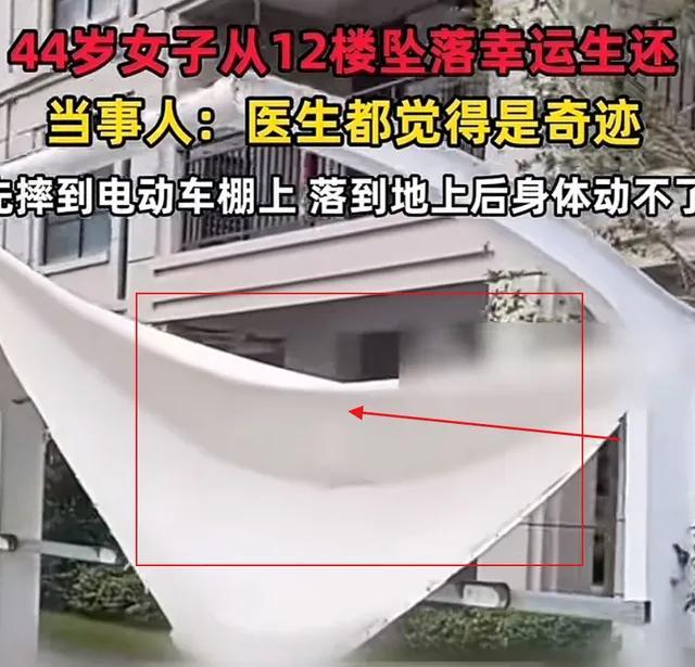 從12樓墜落女子已出院 網(wǎng)絡(luò)暴力與現(xiàn)實(shí)壓力交織