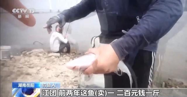 6人為釣大魚進保護區(qū) 違規(guī)垂釣破壞生態(tài)