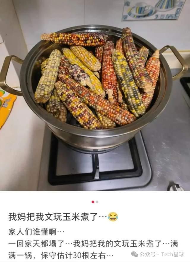 一根開價10萬 年輕人迷上文玩玉米，風靡年輕圈