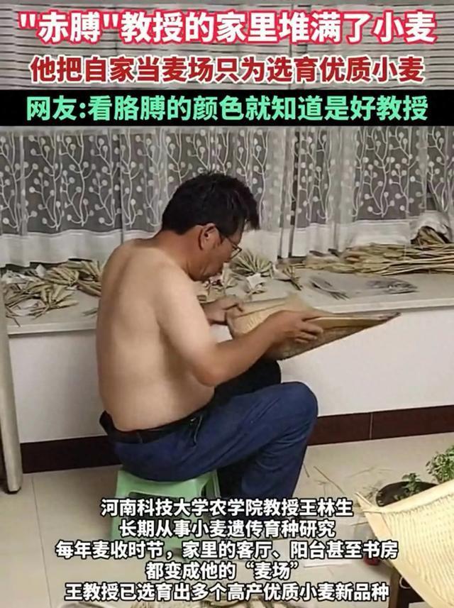 教授為選麥種曬到脫皮妻子心疼落淚