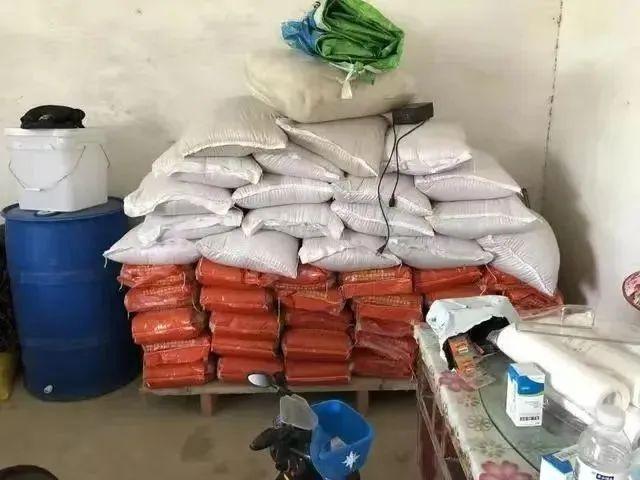 毒种子致农民损失超200万 假种薯引发农业危机