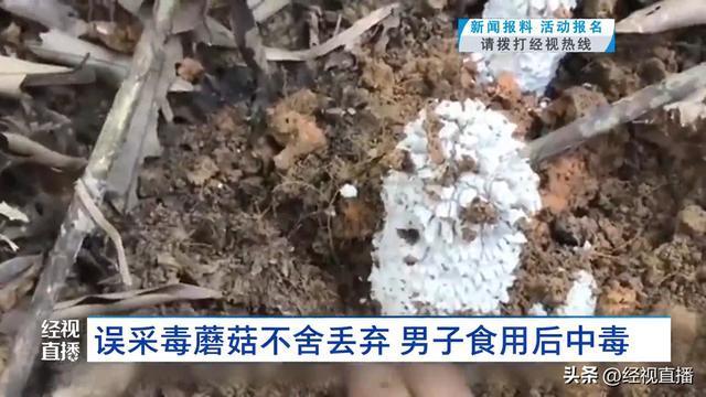 男子誤采蘑菇界死神不舍丟棄吃中毒