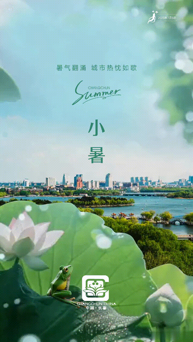 今日小暑
