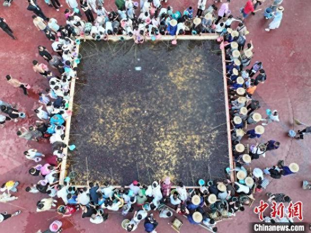 景區(qū)投放1噸龍蝦助游客垂釣