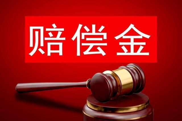 博士称受胁迫缴赔偿款起诉索还被驳回 法院认定承诺有效