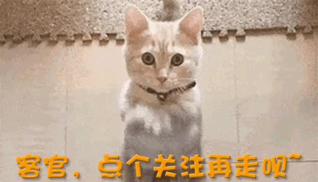 赵露思说内娱谁不羡慕我粉丝 硬刚资本揭行业潜规则