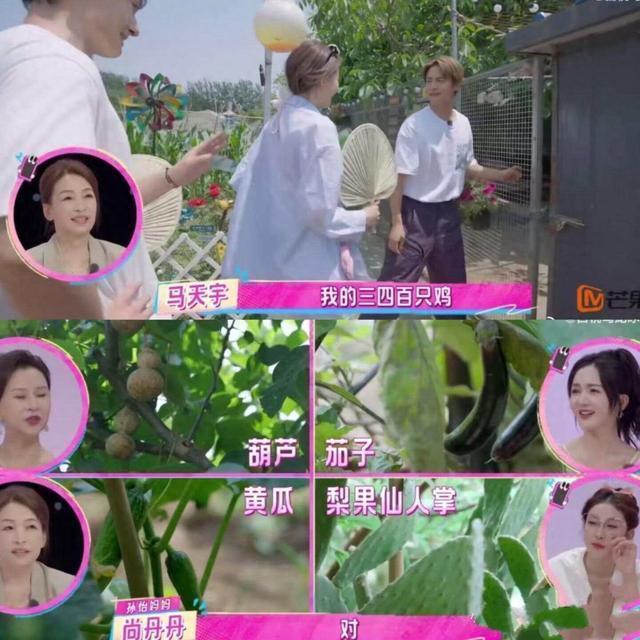 如何看待马天宇的农场生活