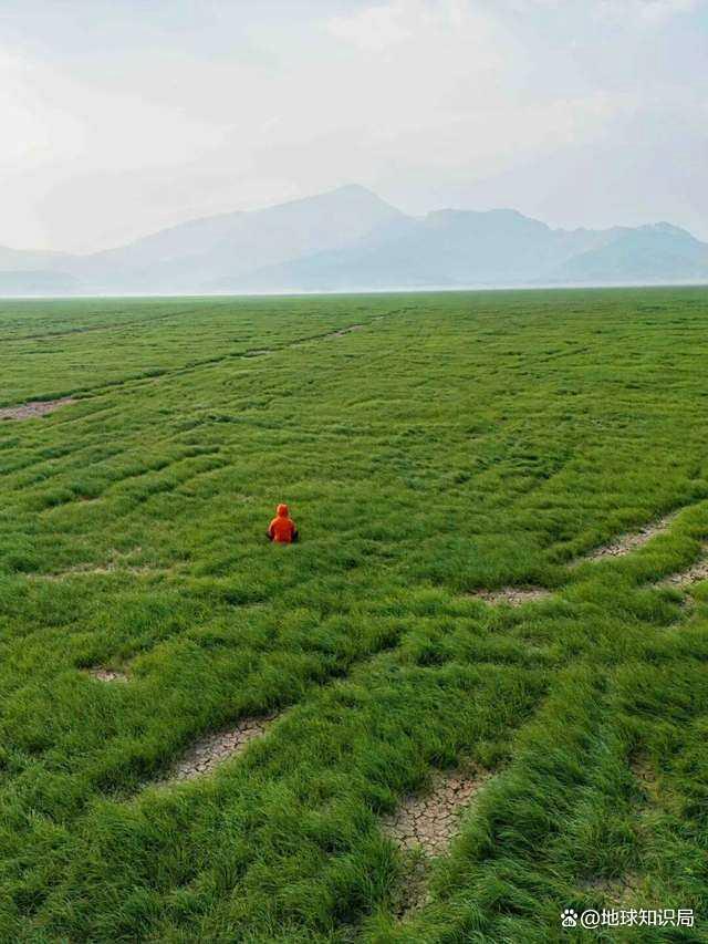 中国第一大淡水湖又萎缩了！咋办？地球知识局 枯水期常态化