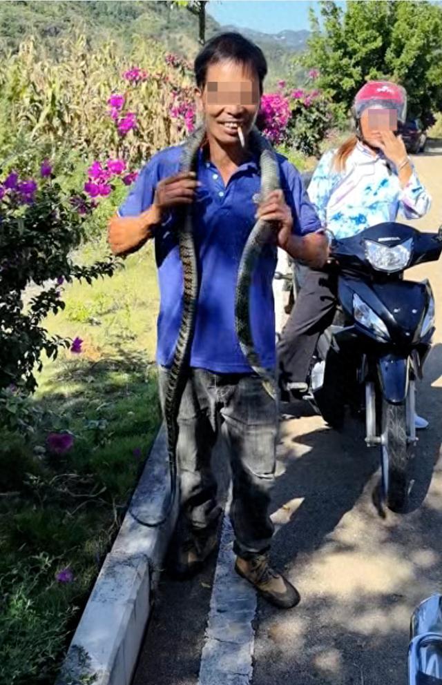 村干部回应男子被眼镜👓王蛇咬死