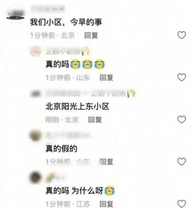于朦胧好友高泰宇发文 怀念笑容定格记忆