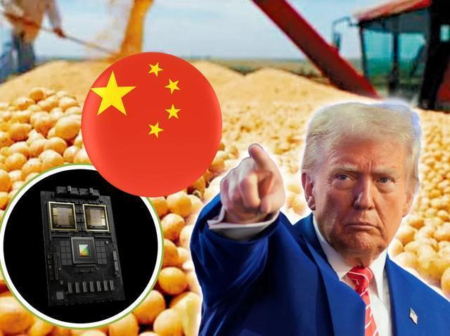 专家：中国停购美大豆是合理反制 中美“大豆战争”打响