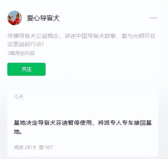 盲人带着导盲犬爬泰山引争议 导盲犬健康受关注