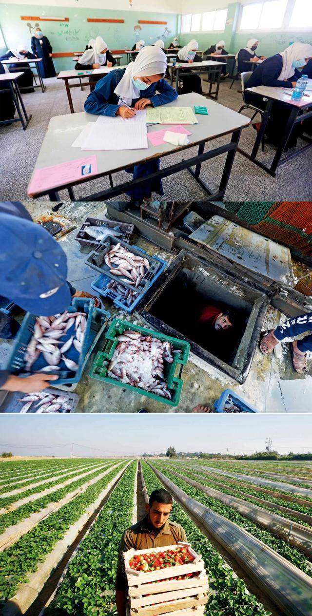 学者称加沙没有一个人不是难民 战火中的混凝土沙漠
