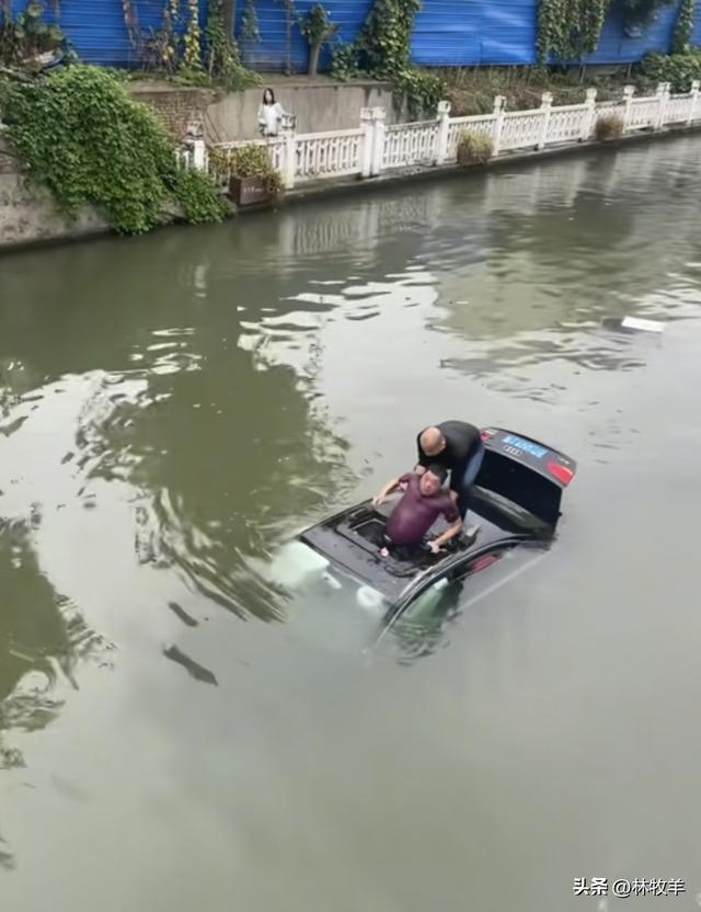 奥迪车主为躲闯红灯电动车不慎坠河 平凡英雄挺身而出