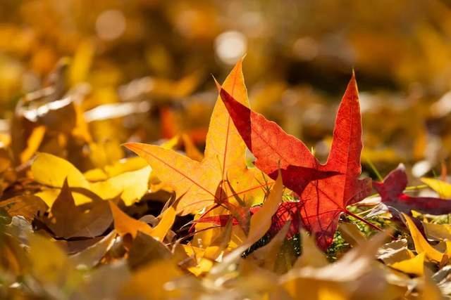 今年是百年一遇的