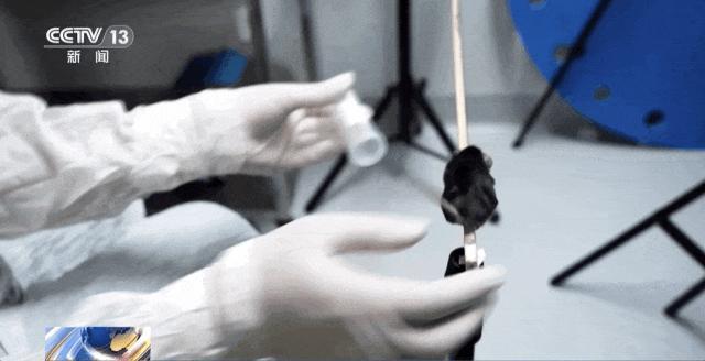 鼠鼠我啊要上天了 航天鼠勇闯太空关卡