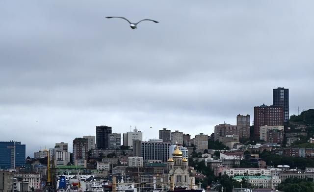 中俄远东开发为何重点选定黑瞎子岛 普京的远东大棋局