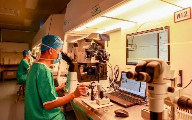 4岁男孩与19岁双胞胎姐姐“同龄” 跨越15年的奇迹