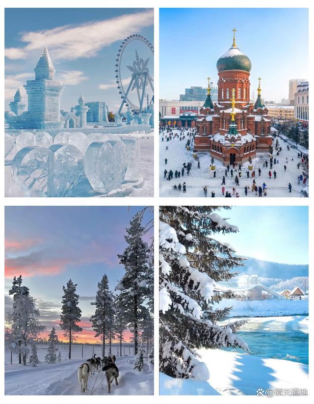 今年尔滨又升级了 细节温暖人心