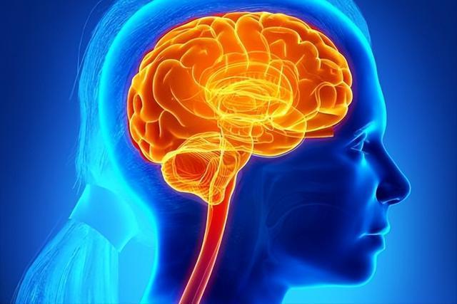 普通發(fā)熱不建議自行服用奧司他韋 醫(yī)生：服用奧司他韋的人，身體出現(xiàn)4種癥狀必須停藥