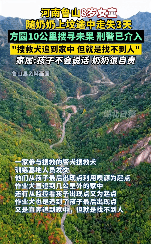 河南鲁山8岁女孩失联,多方搜寻未果,紧急寻找失踪儿童!