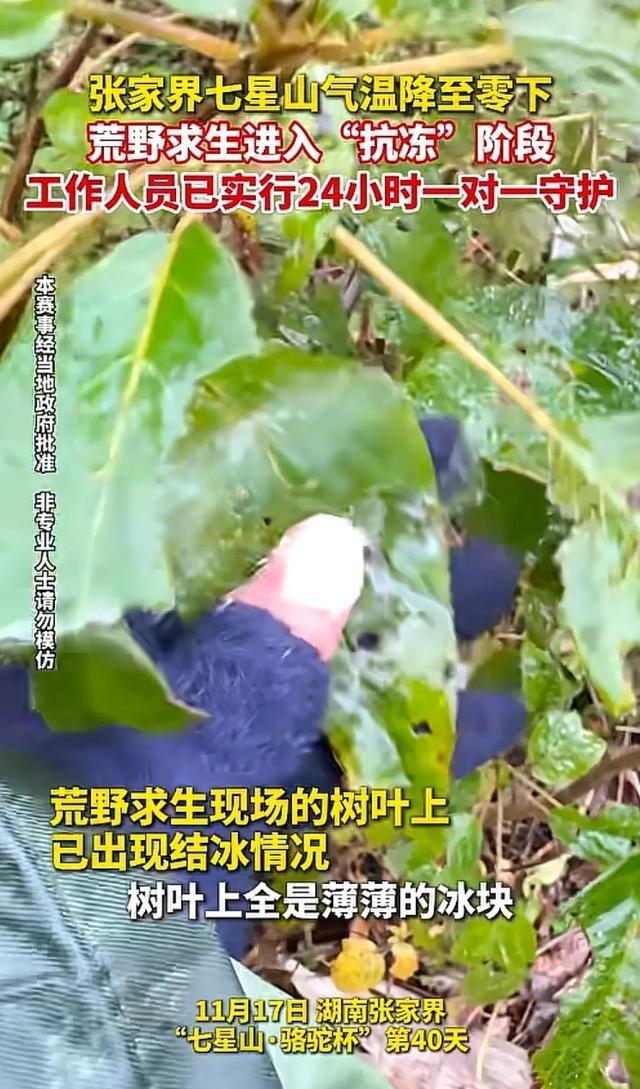 云南一荒野求生大赛被官方叫停 安全与流量的抉择