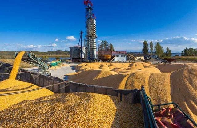 中美20年四次大豆博弈 一颗豆子背后的惊天棋局