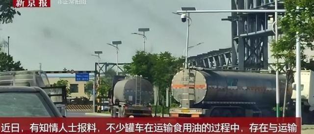 金龙鱼信任崩塌的警示 管理黑洞暴露