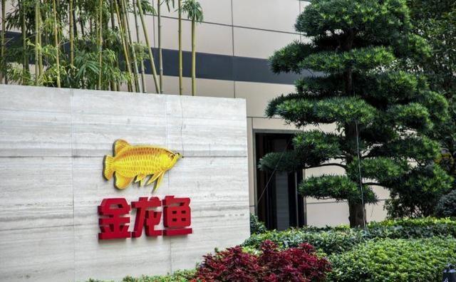 金龙鱼信任崩塌的警示 管理黑洞暴露