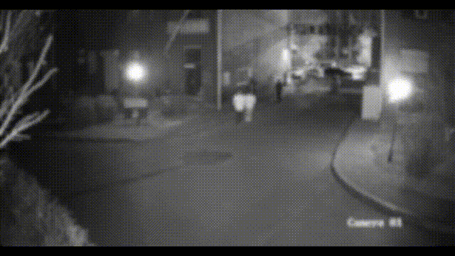 沈阳与秦皇岛警方联手破获砸车偷盗案,涉及20辆车引发关注