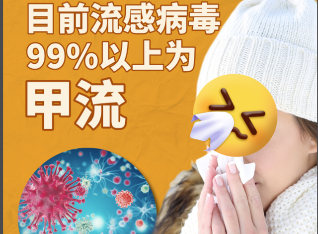 12月甲流高峰預(yù)警 加強防護(hù)刻不容緩