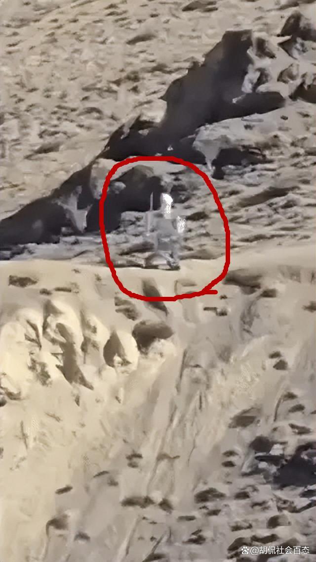 中国机器人哨兵站岗中印边境