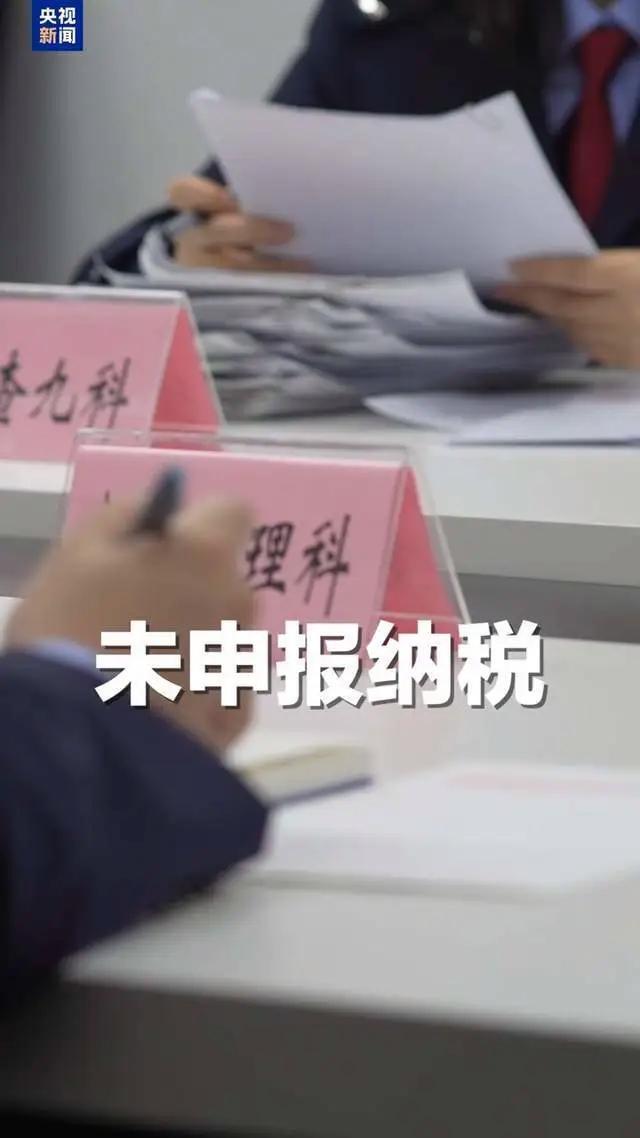 陈震用空壳工作室偷税 案件细节公布